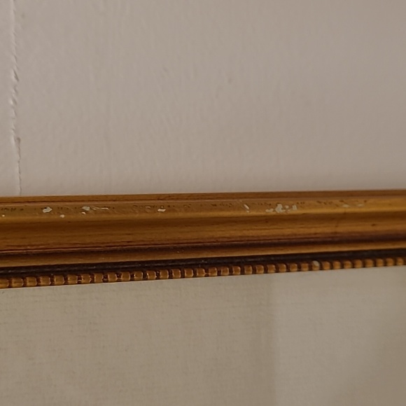 J. Gould and HC Richter Hummingbirds Aglaeactics Pamela Litho - Picture 13 of 16